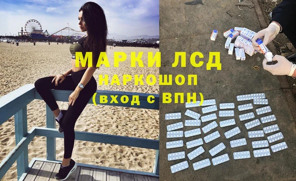 ПСИЛОЦИБИНОВЫЕ ГРИБЫ Алексин